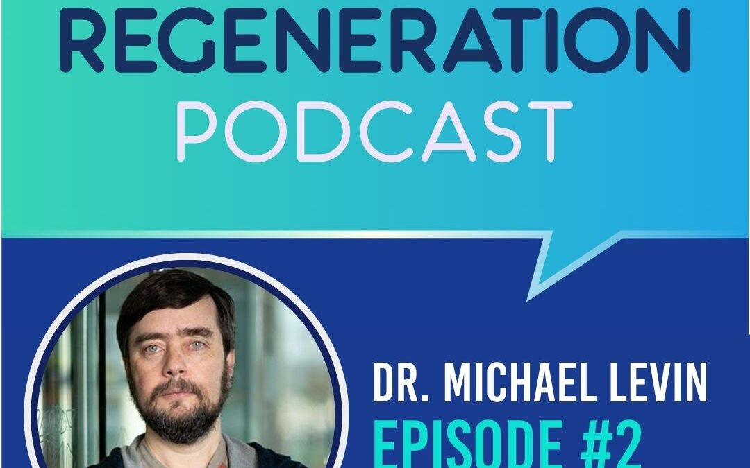 Bioelectricity and Regrowing Brains and Limbs with Dr. Michael Levin