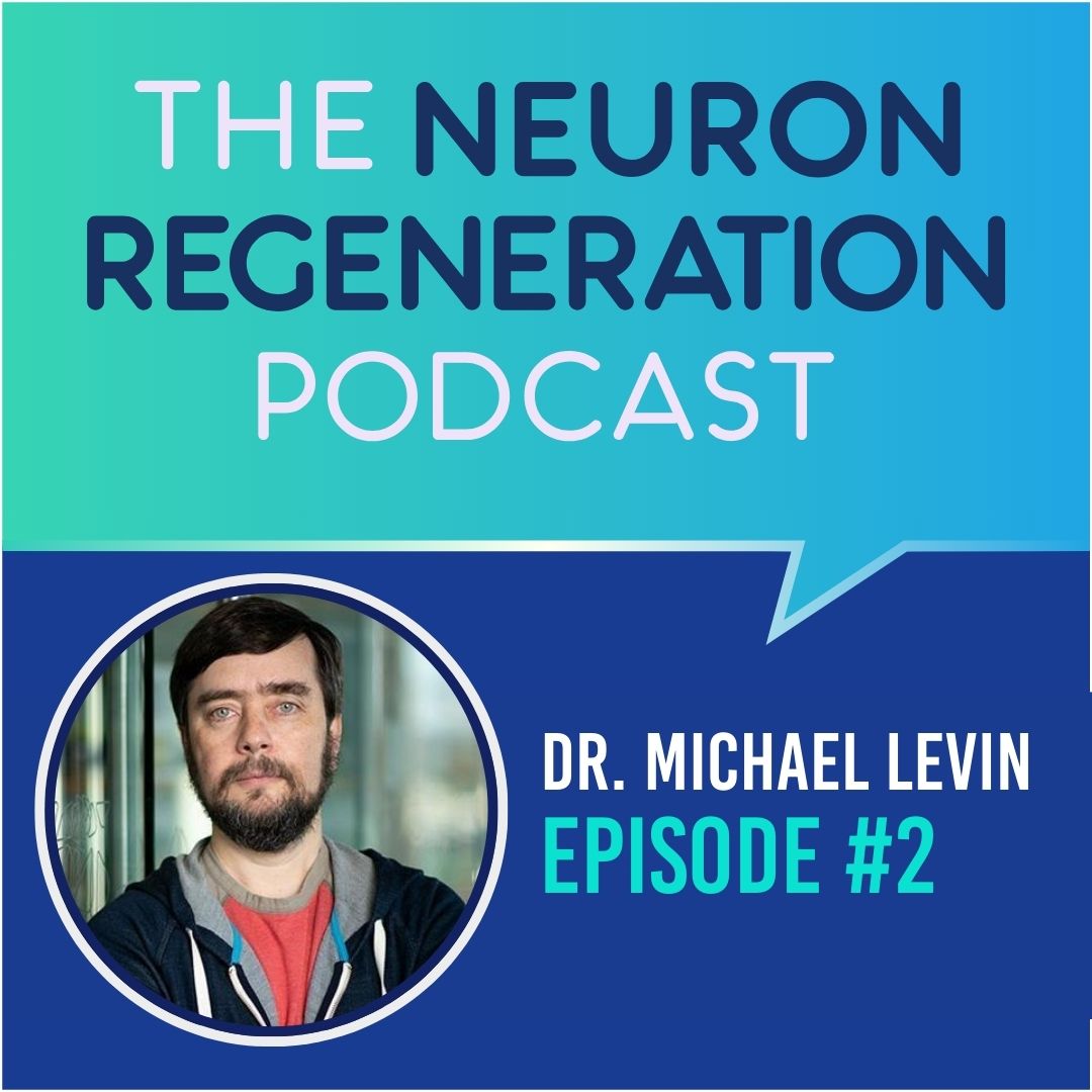 Bioelectricity and Regrowing Brains and Limbs with Dr. Michael Levin