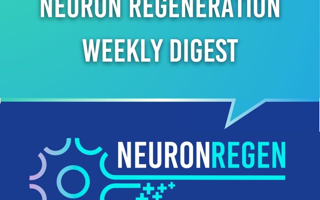 Neuron Regeneration Weekly Digest: Advancing Insights in Spinal Cord Repair and Traumatic Brain Injury Recovery