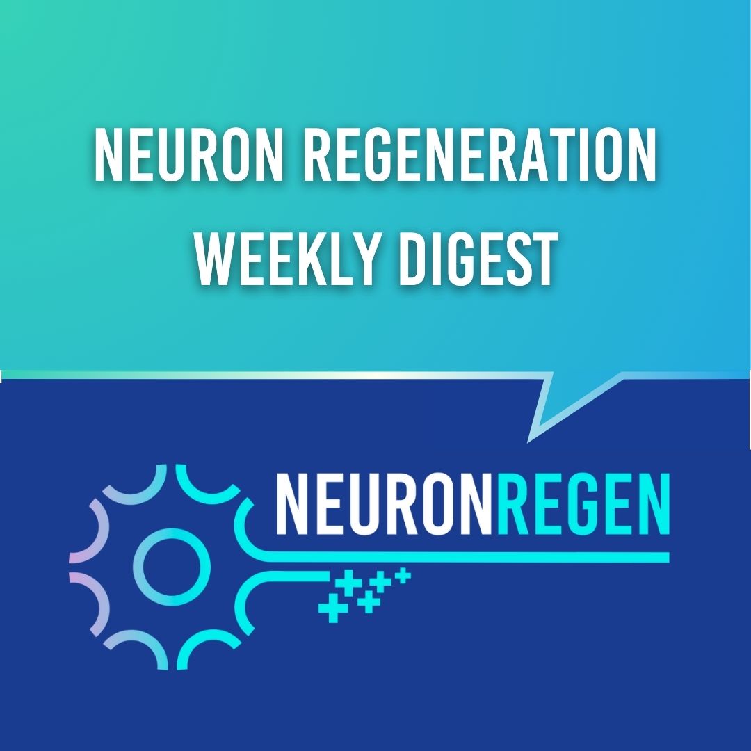 Neuron Regeneration Weekly Digest: Advancing Insights in Spinal Cord Repair and Traumatic Brain Injury Recovery