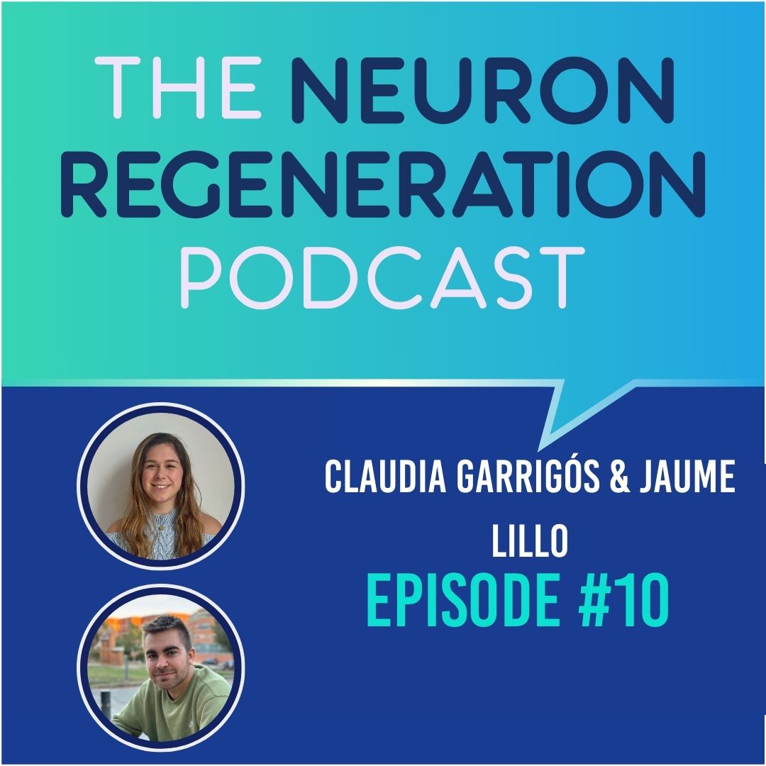 CNS neurons that actually regenerate throughout life